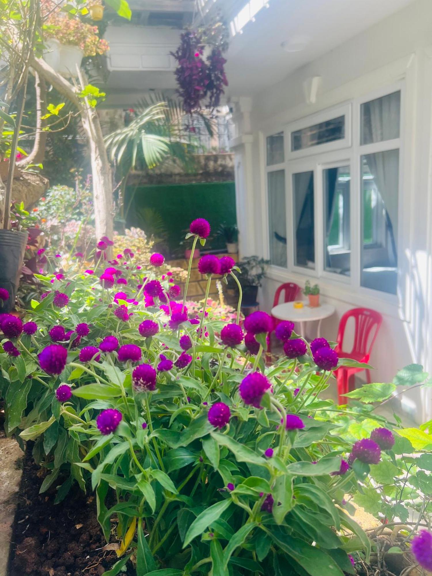 Villa - Hotel Nam Khang 2 Dalat Экстерьер фото